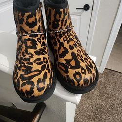 Leapord Print UGGS