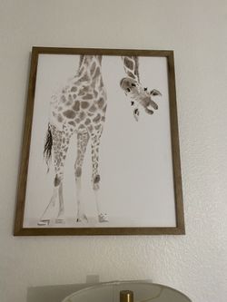 Giraffe Photo 