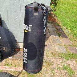 Everlast 100lb Heavy Bag Stand And Boxing Equipment
