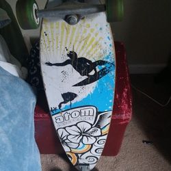 Sector 9 Skate Board