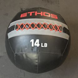 Gym Equipment - Wall Ball