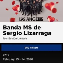 Banda MS DE Sergio Lizarraga