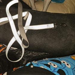 Reflective 6ft Dog Leash