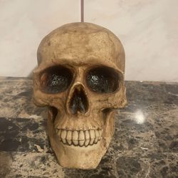Skull Coin Bank