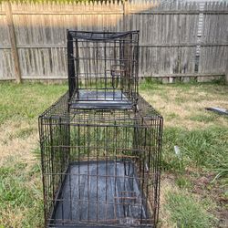 Dog Cages