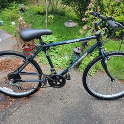 MURRAY 24 INCH  MENS BIKE