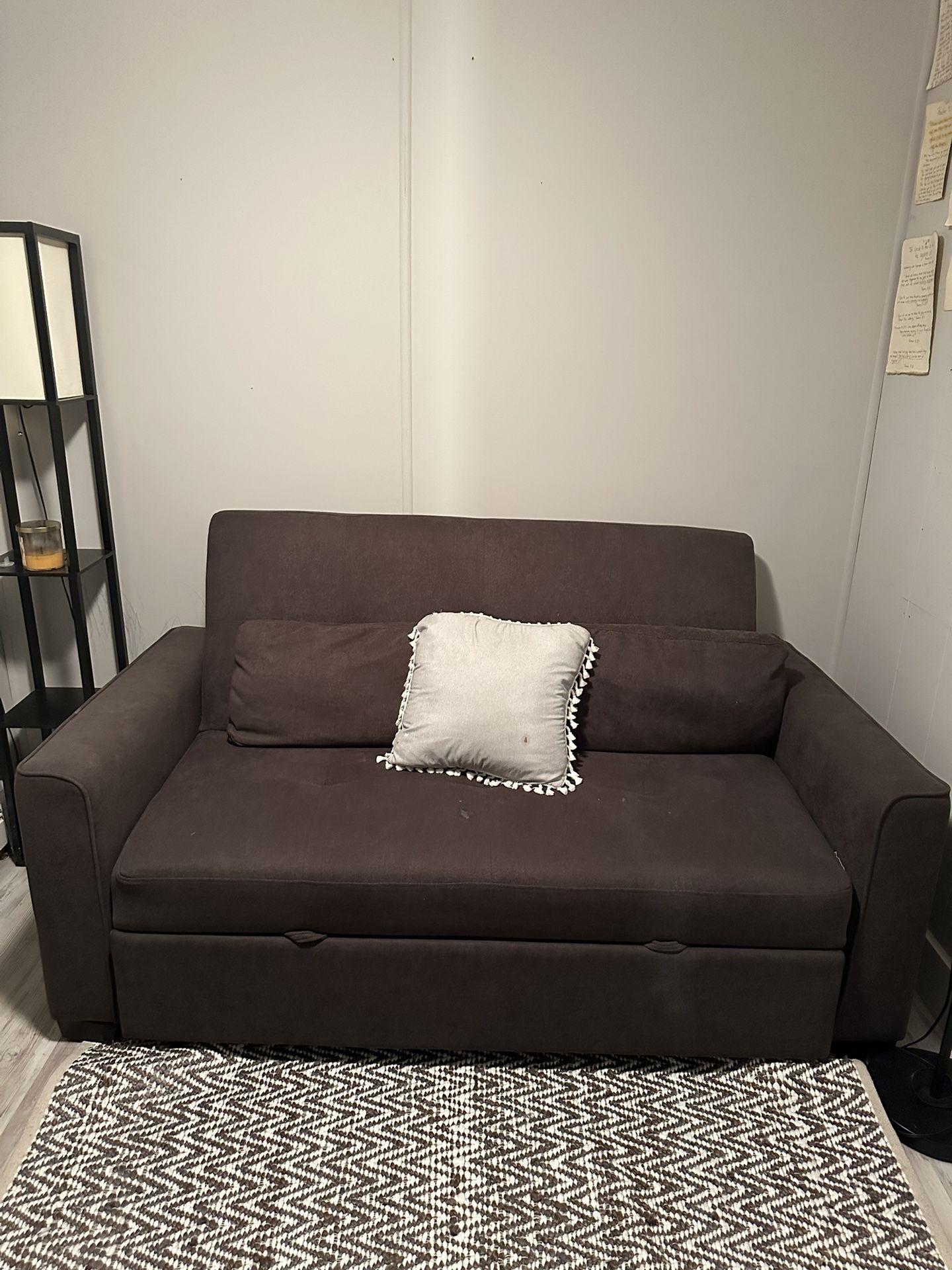 Pull Out Couch / Love Sofa