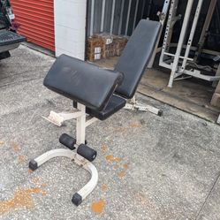 Bench With Preacher Curl