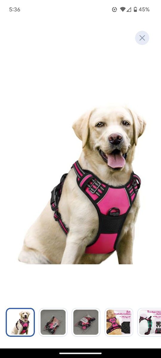 rabbitgoo Dog Harness No Pull with 2 Leash Clips, Adjustable Soft Padded, Reflective Oxford No Choke Pet Vest with Easy Control Handle for Large Dogs,