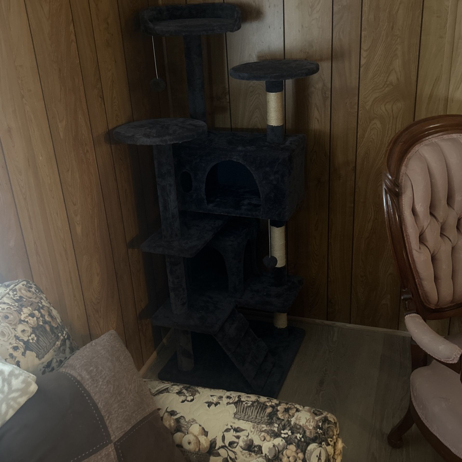 Cat Scratching Post