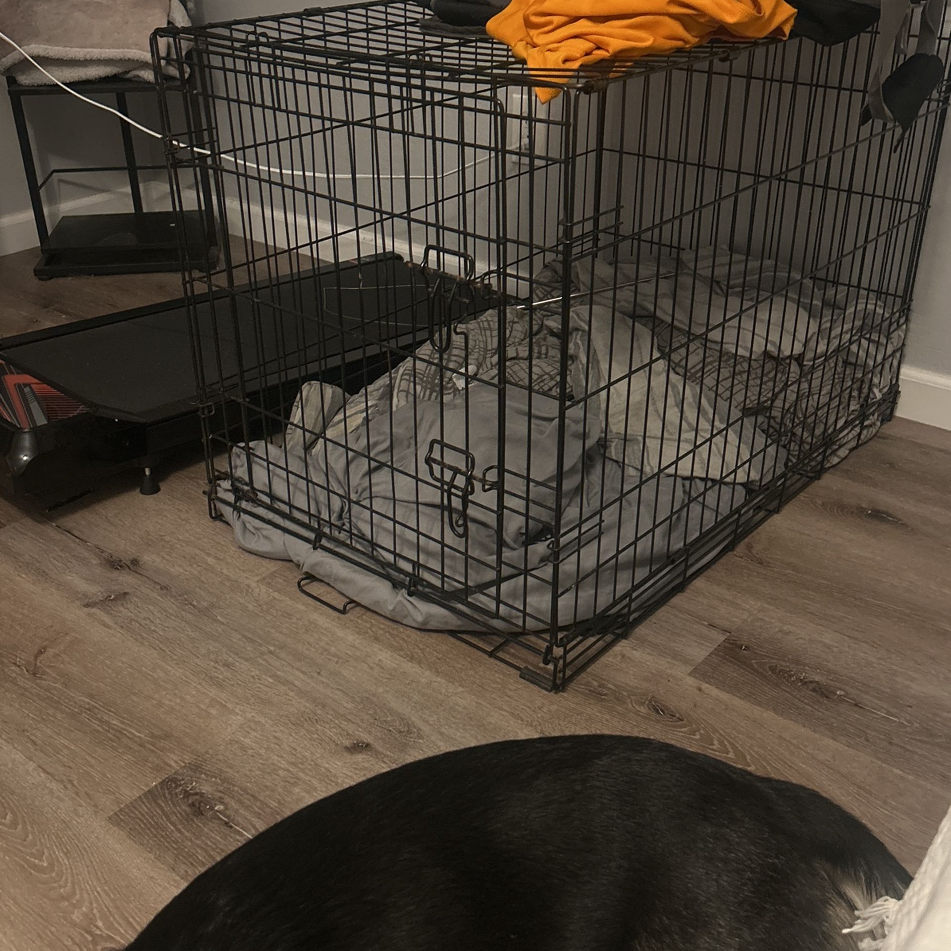 Dog Crate 