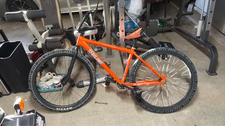 Orange palm 29er