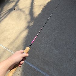 Shakespeare 5' 6" Medium Action 2-Piece Fishing Rod Fishing Pole