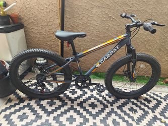 ECARPAT 20" Fat Tire Bike)