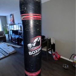 Punching Bag