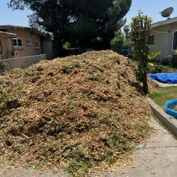 Free Wood Chips In Fountain Valley And Nearby 