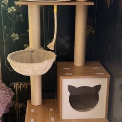Kitty Condo