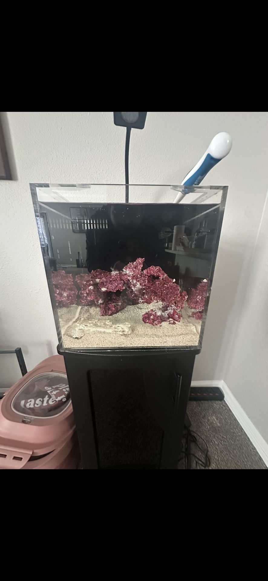 Fish Tank And Supplies