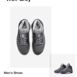 Jordan 5 Wolf Greys