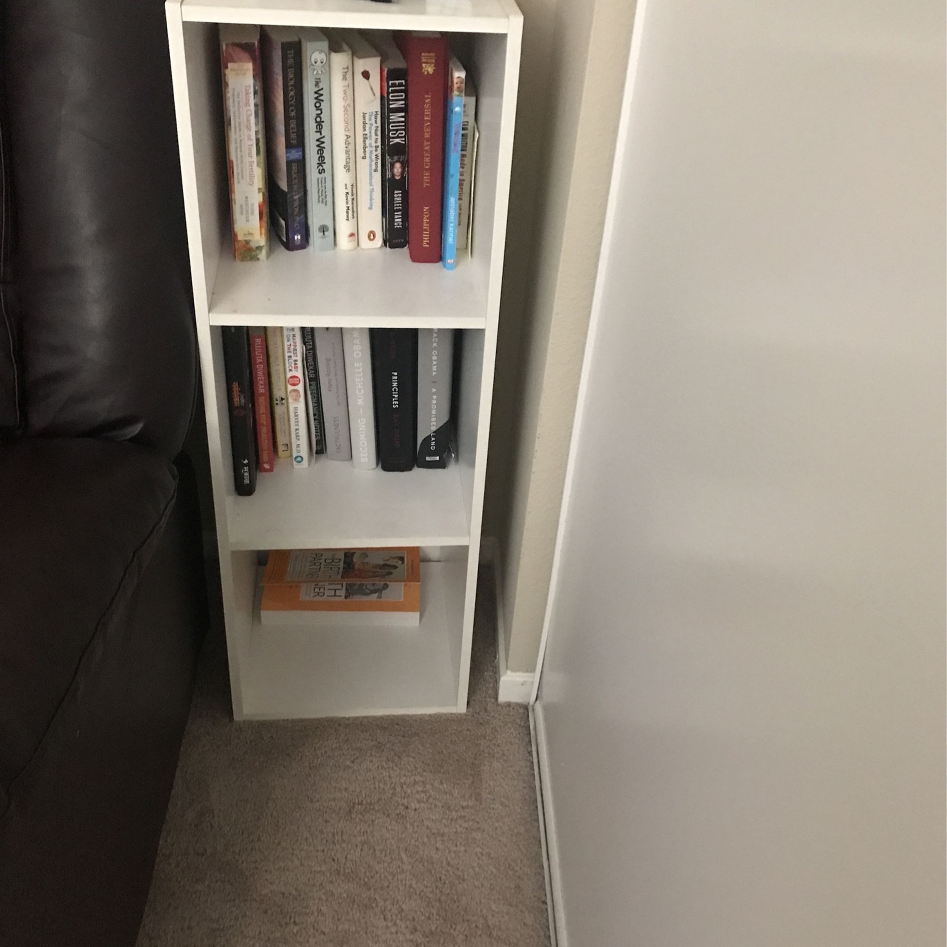 Book Shelf organizer From Ikea