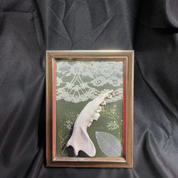 Oddity and curiosity Display-“Lace for the Dead”