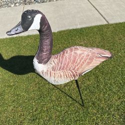 Decoys