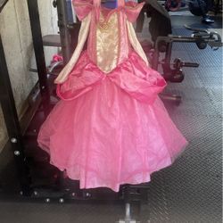Princess Costume Size 4