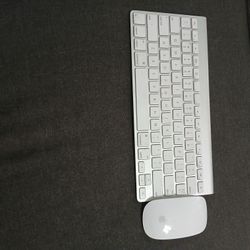 Apple Mouse And Keyboard 