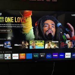 65 Inch Vizio Smart Tv