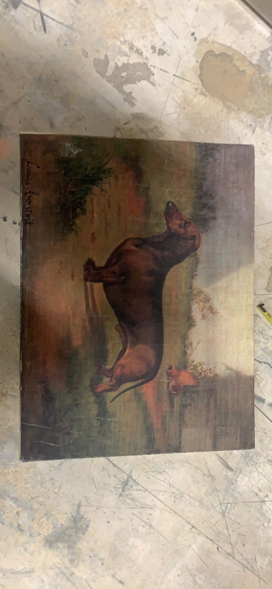 Antique dachshund print on fabric