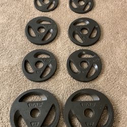 Olympic Weight Plates Set - Total 100 Pounds 