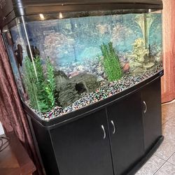 95 Gallon Fish Tank