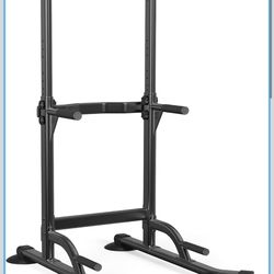 Pull up and dip station