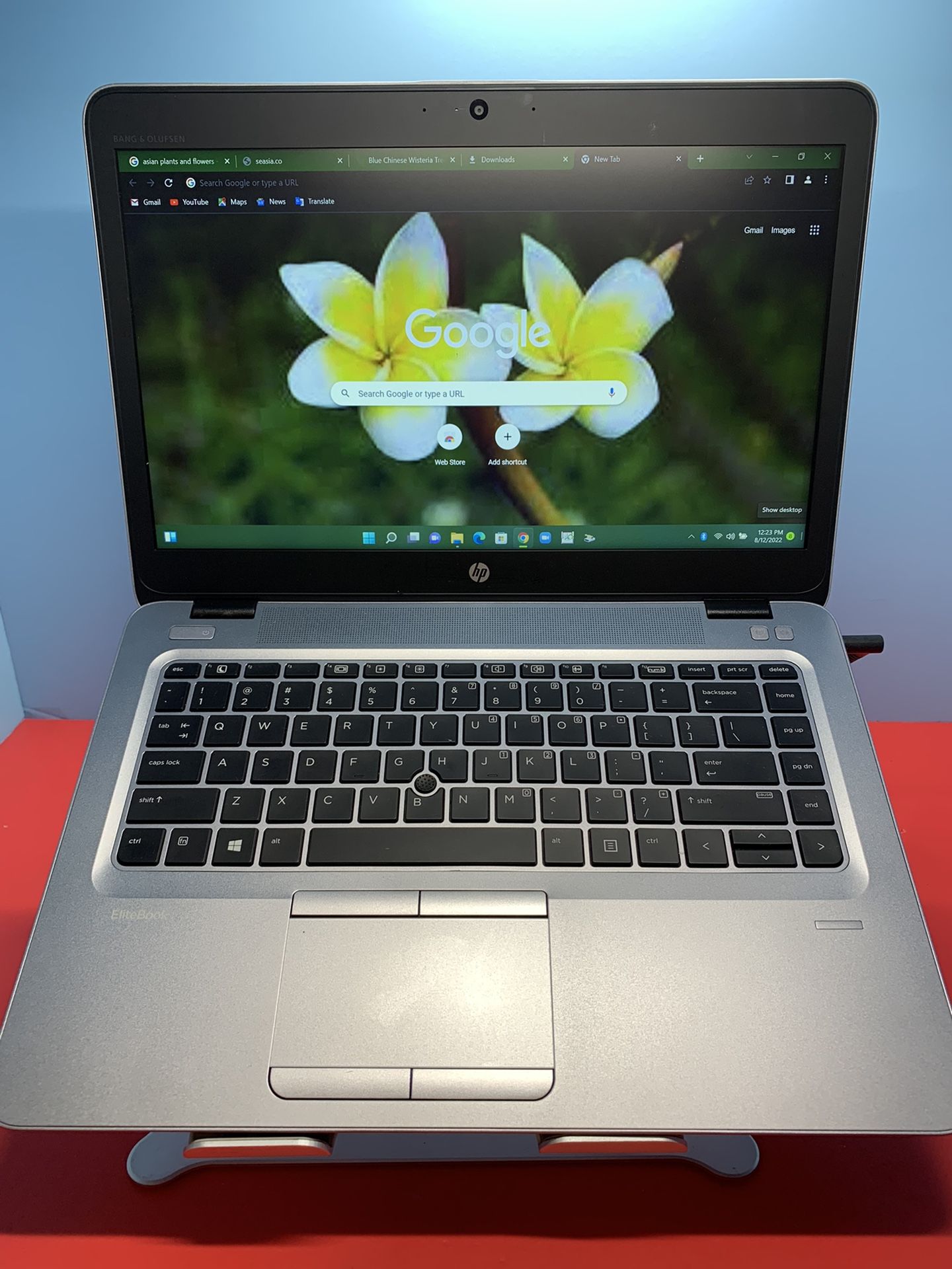 HP NOTEBOOK ( Thin )..OPEN BOX …500 GB …HHD ( Capacity ) ..8.0 RAM . READY FOR CLASSES ON LINE OR WORK FROM HOME