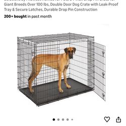 Large Breed Crate