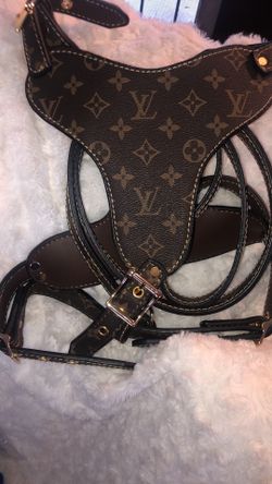 Dog Harness