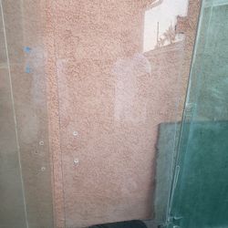 Shower Door