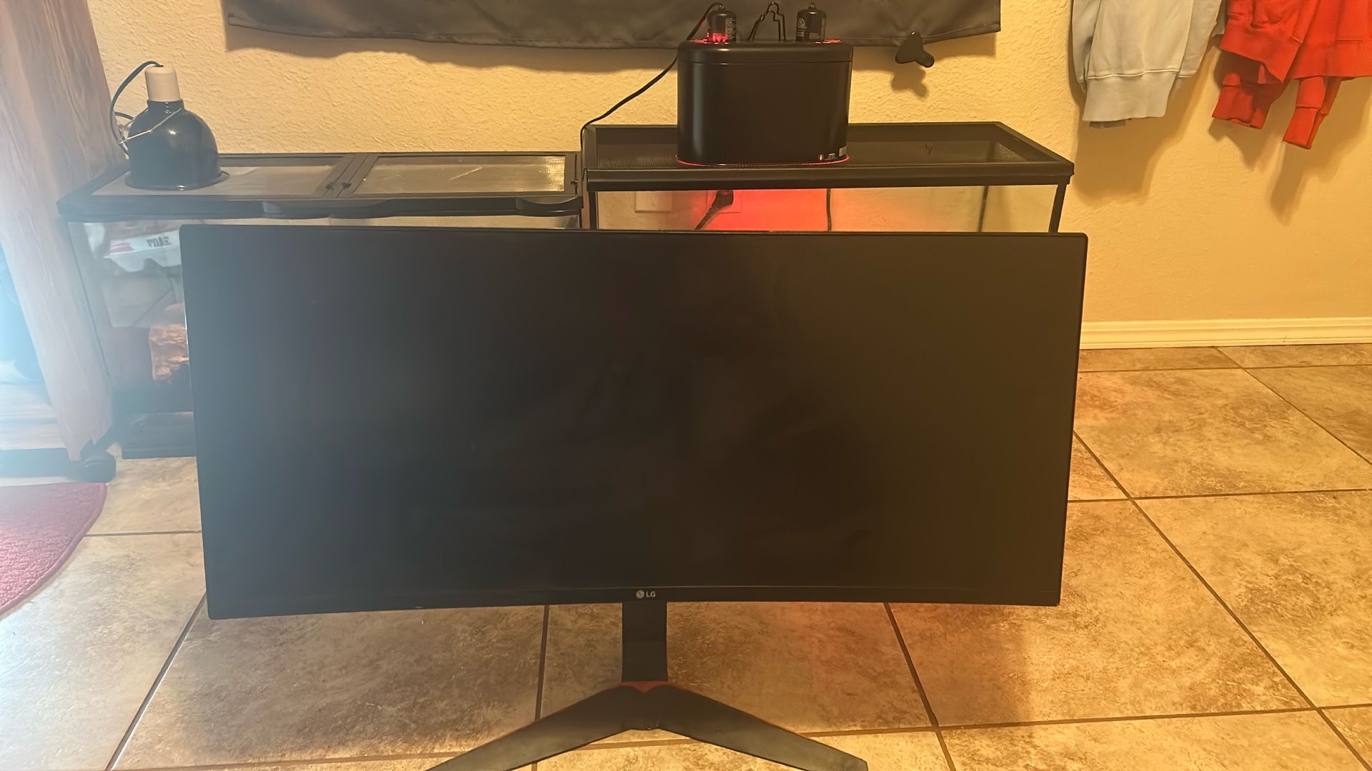 LG Monitor 