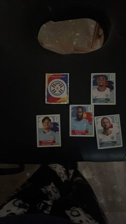 Panini stickers