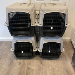 Medium 27” Taxis $15 Each-Cada Uno