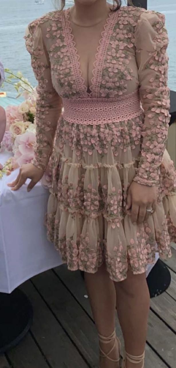 Bronx And Banco Megan Embroidered Pink Mini Dress - www.jkreigsman.com