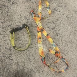 Dog Collars + Gift Leash