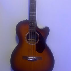 acoustic bass/bajoloche