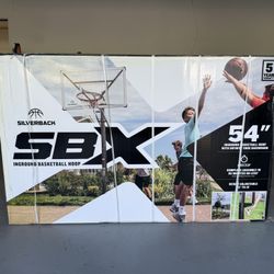 Basketball hoop silverback  54