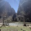 Maemay