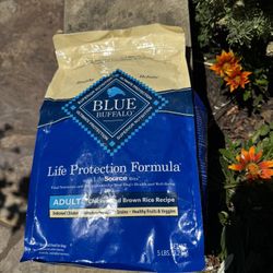 Blue, Buffalo Dog, food