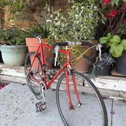 Road Bike 