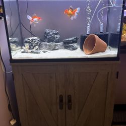 37 Gallon Fish Tank W / Stand 