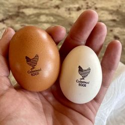 Farm Fresh Eggs