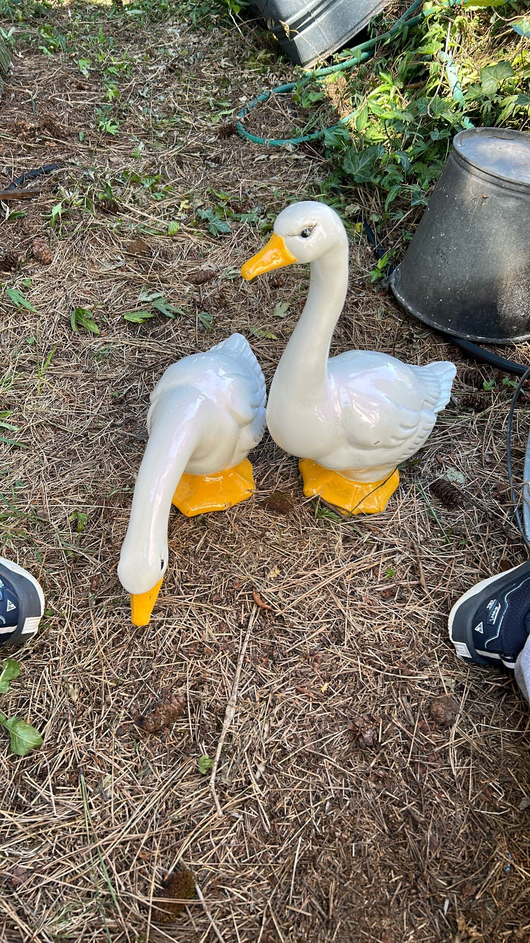 Ceramic Duck Decorations